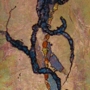 Cell Connections