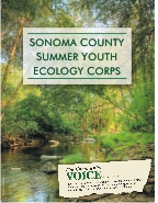 Summer Youth Ecology Corps Brochure