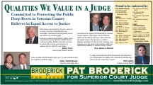 Broderick for Judge Postcard