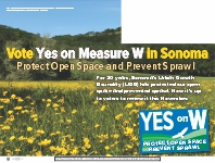 Yes on W Postcard